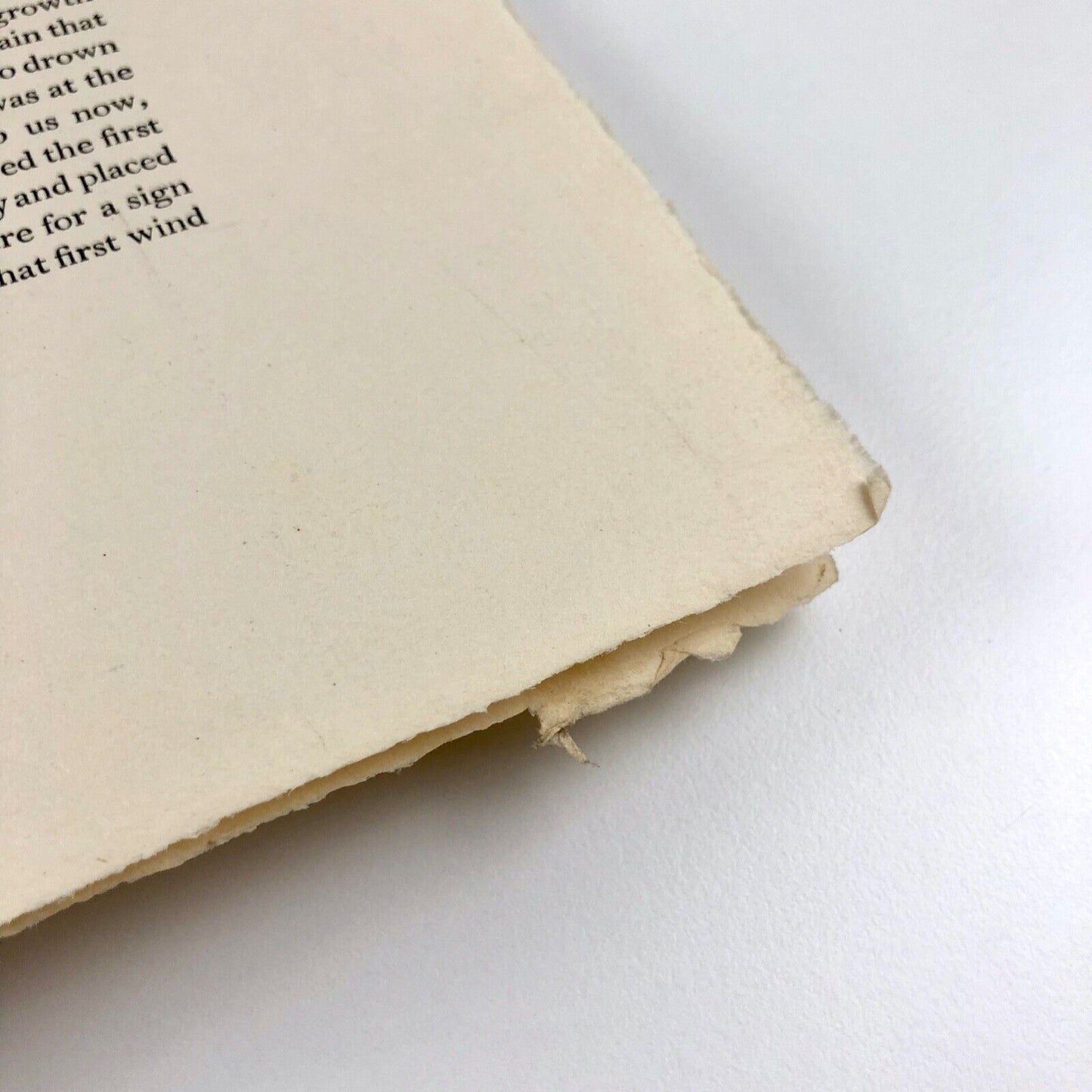 Specimen pages for The Bamboo Dancer Clover Hill Press Cleverdon | Eileen Mayo, 1937