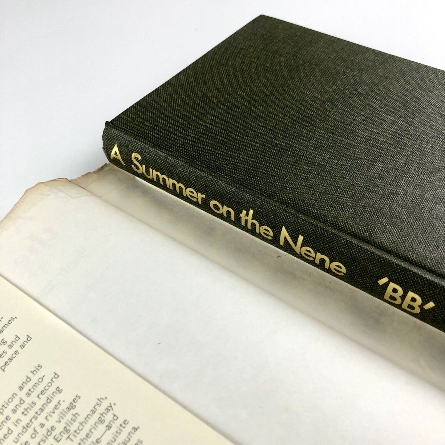 A Summer on the Nene by 'BB' | D. J. Watkins-Pitchford | Kaye & Ward Ltd, 1967 | Hardback