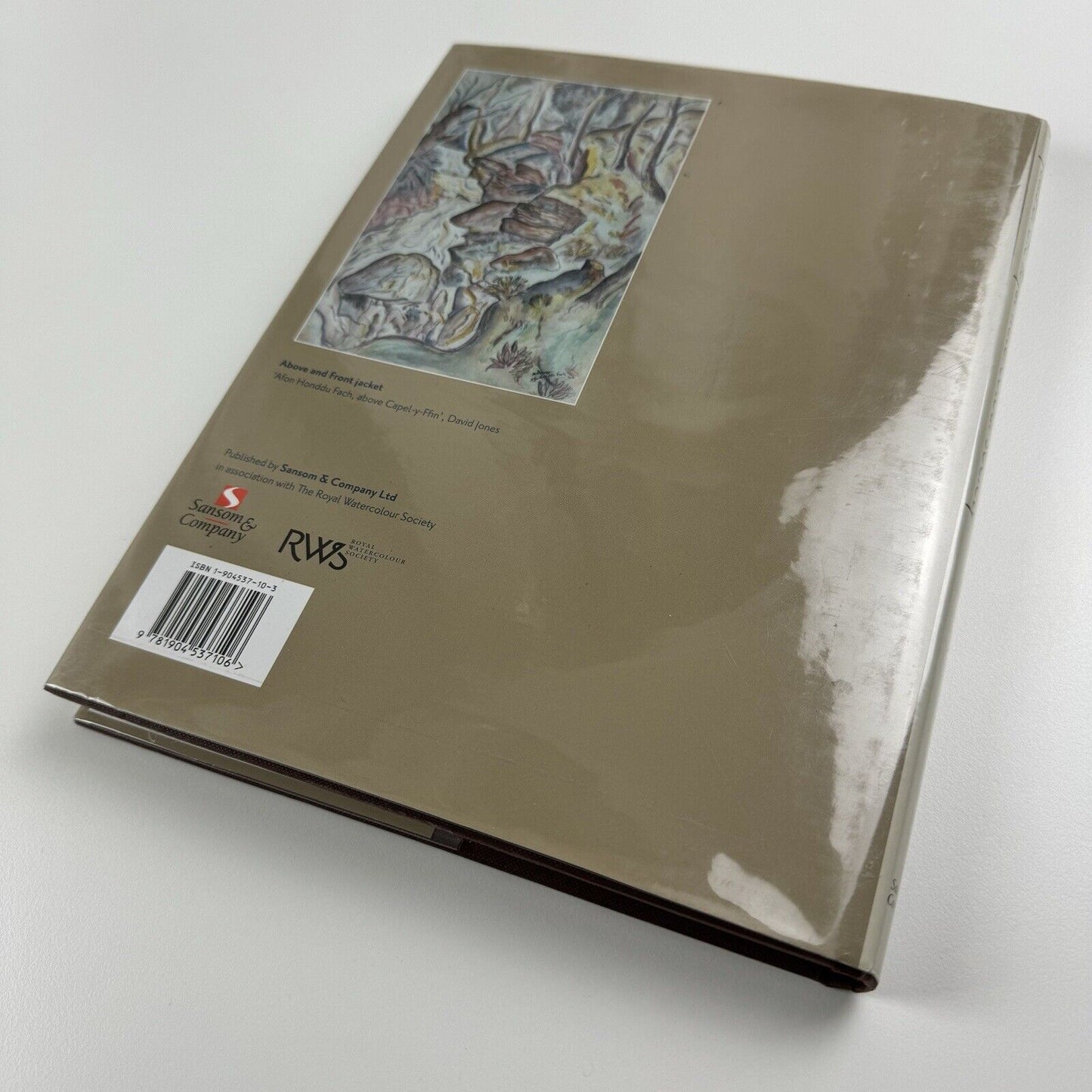 The Enchanted River. Two hundred years of the Royal Watercolour Society by Simon Fenwick | Sansom and Company, 2008