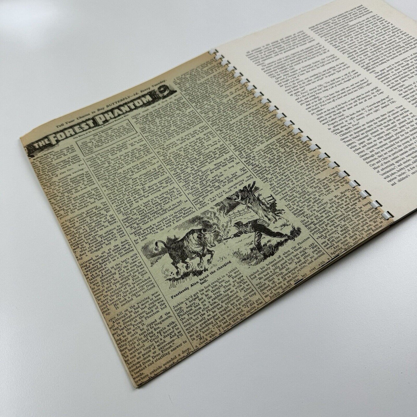 Typography 8 – Summer 1939 | Journal edited by Robert Harling | Shenval Press