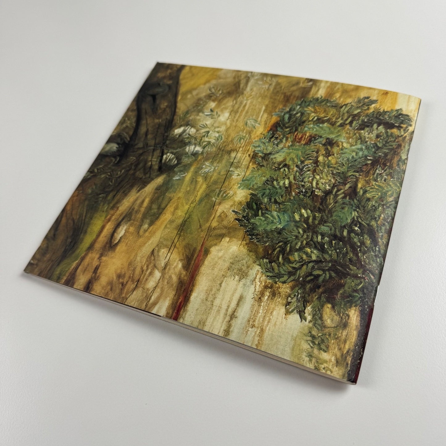 The Enclosed Tree Carole Berman | Rebecca Hossack Gallery, 2002