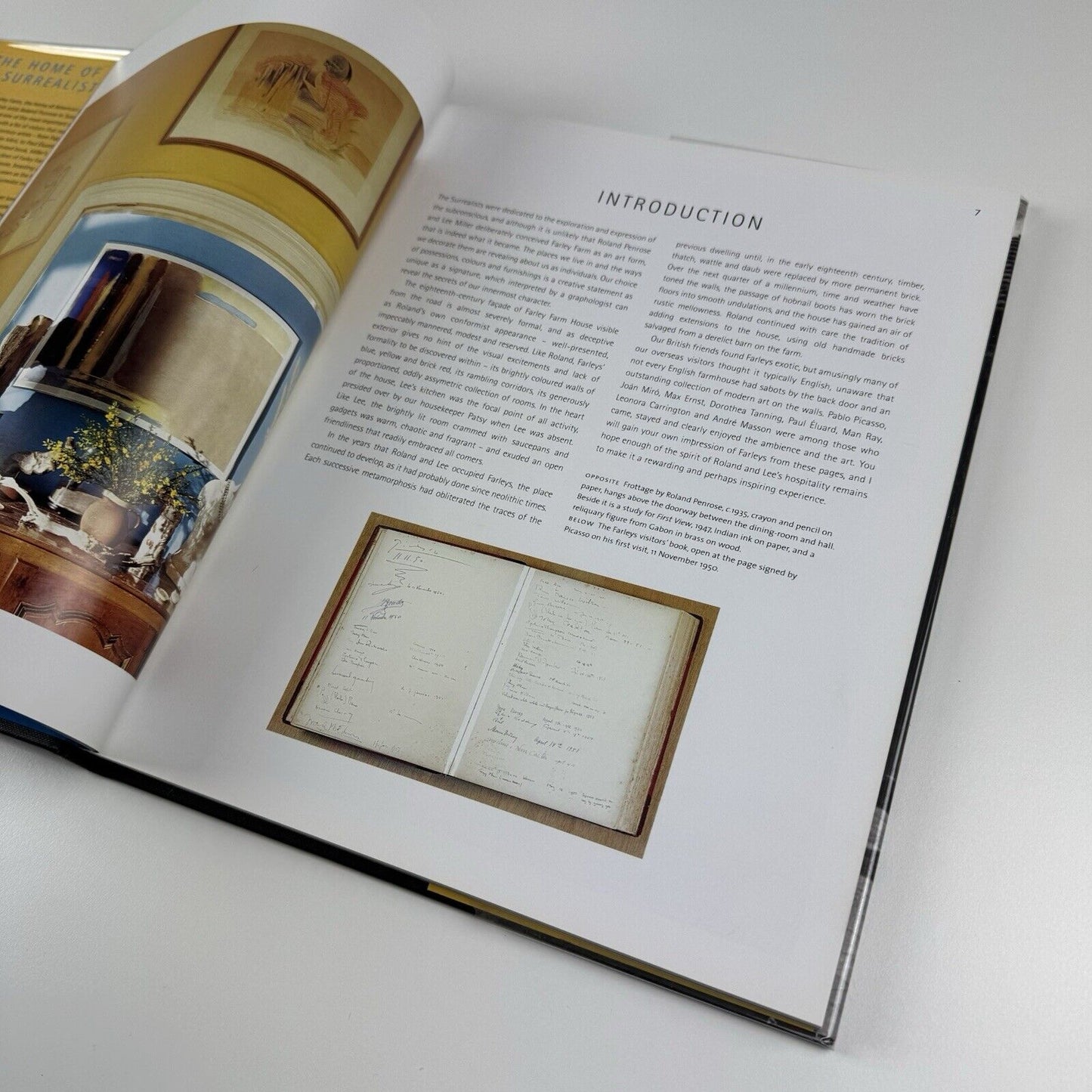 The Home the Surrealists: Lee Miler, Roland Penrose and Their Circle at Farley Farm | Antony Penrose, 2001