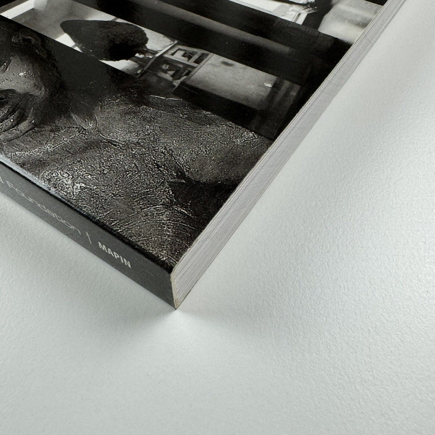 India 20. Conversations with Contemporary Artists by Anupa Mehta | Mapin Publishing, 2007
