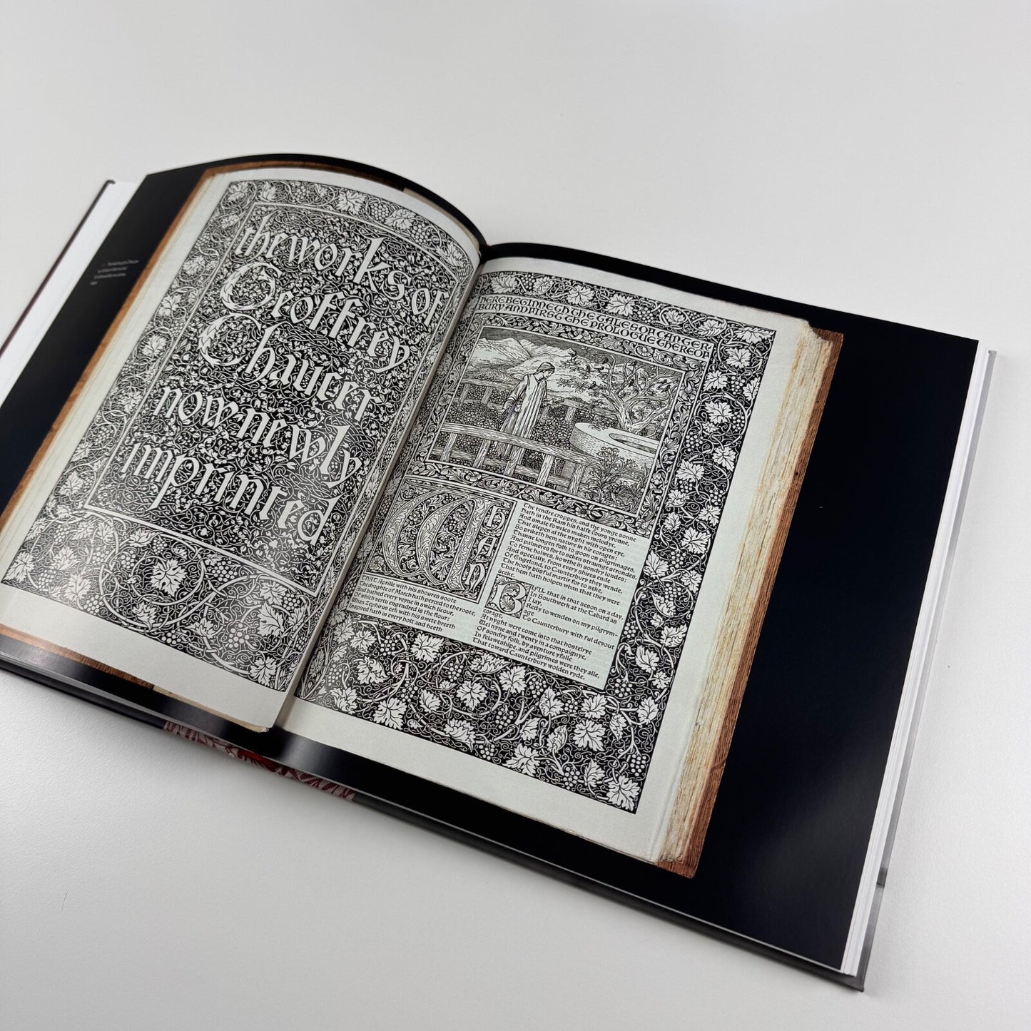 Anarchy & Beauty. William Morris and his Legacy 1860-1960 by Fiona MacCarthy | National Portrait Gallery | Yale University Press, 2014