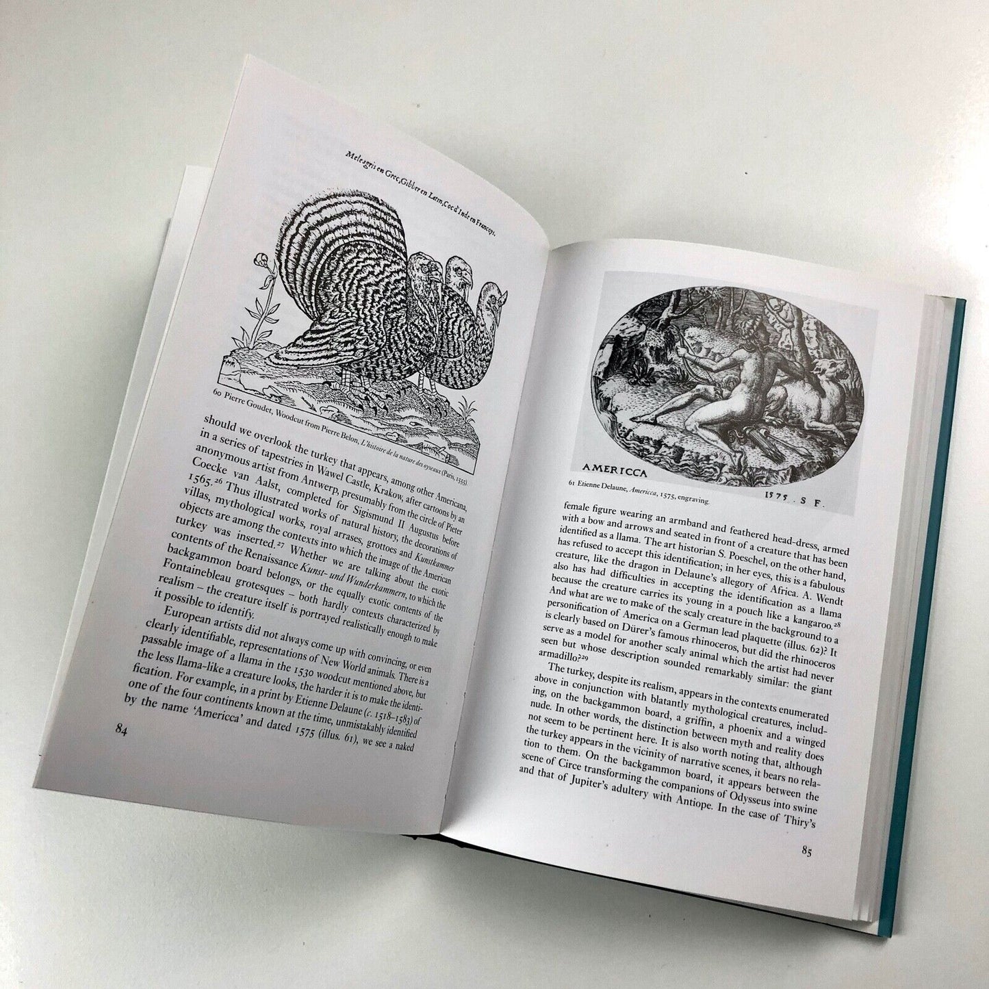 The Lives of Images by Peter Mason | Reaktion Books, 2001