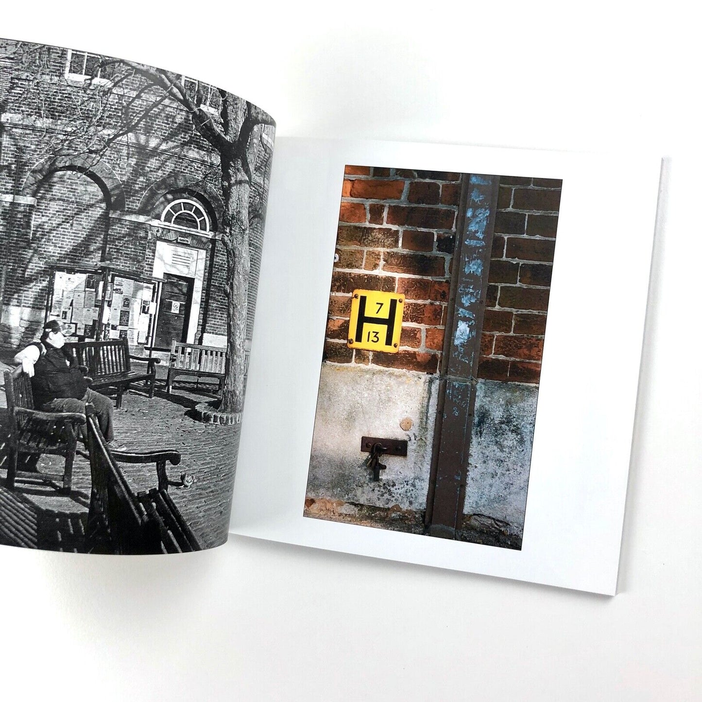 Hydrants: Signs Seen & Unseen | Michael Harvey | 47 Editions 2008