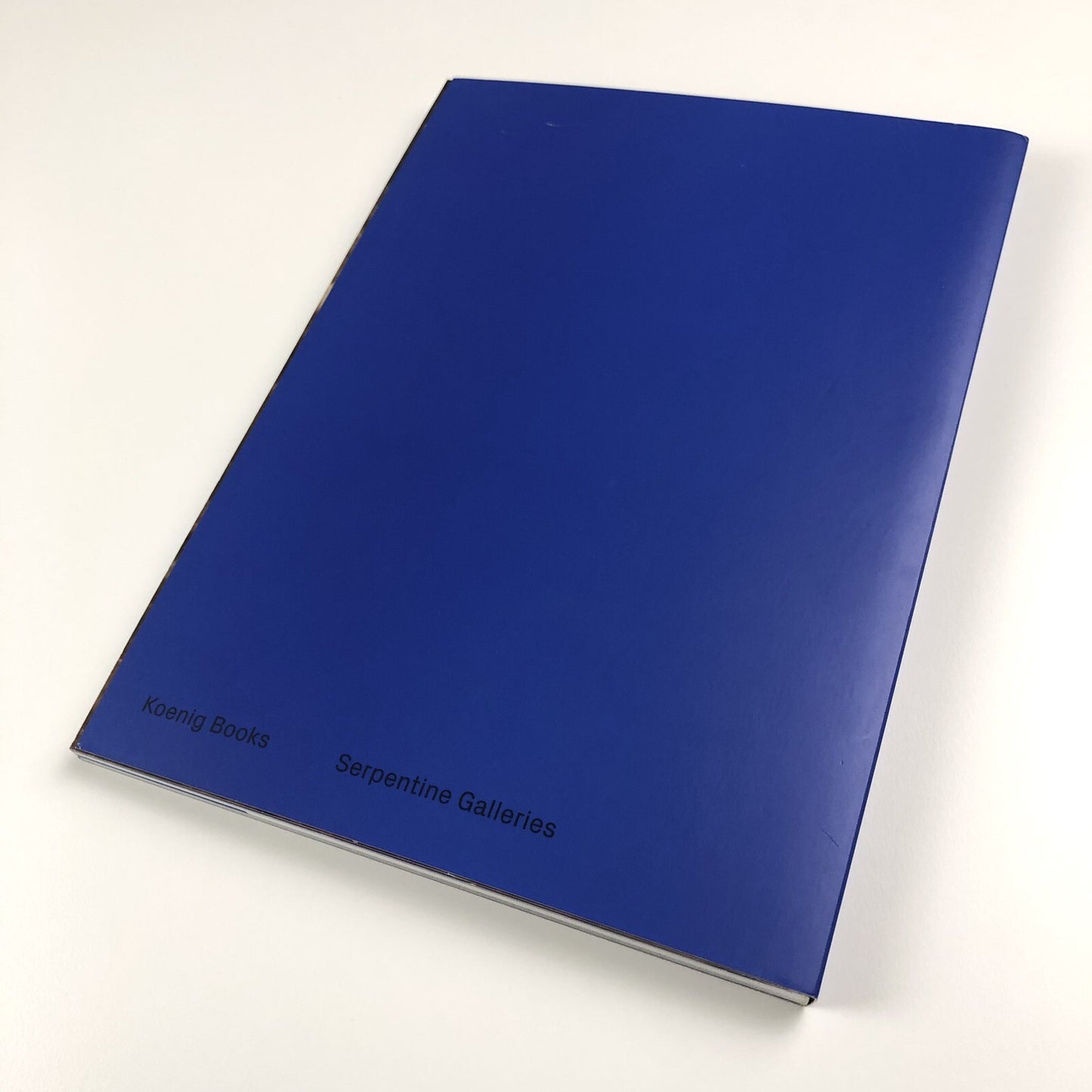 Sondra Perry. Typhoon Coming On | Serpentine Galleries exhibition catalogue, 2018