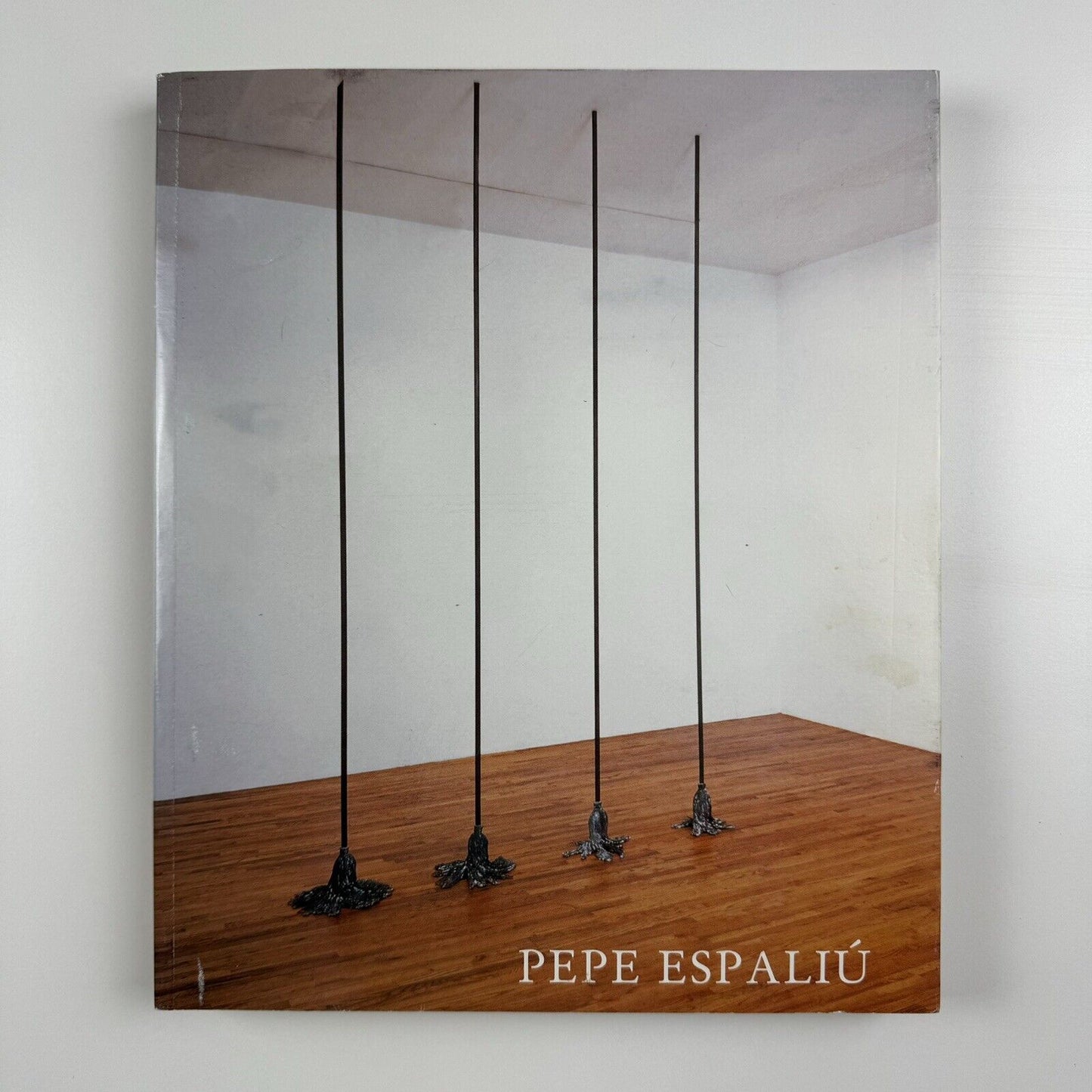 Pepe Espaliú. Artworks and Writings | Documenta Visual Arts Madrid 2007