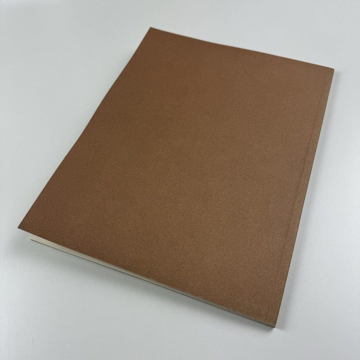 Anthony Caro: Flats (Anthony Caro & Sheila Girling) | New Art Centre, Roche Court, 2007 | edited by Jeremy Hunt