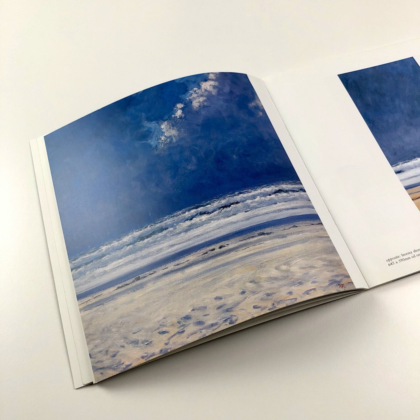 Robert Jones – Sun, Wind and Weather | Foreword by Frances Hewlett, 2002