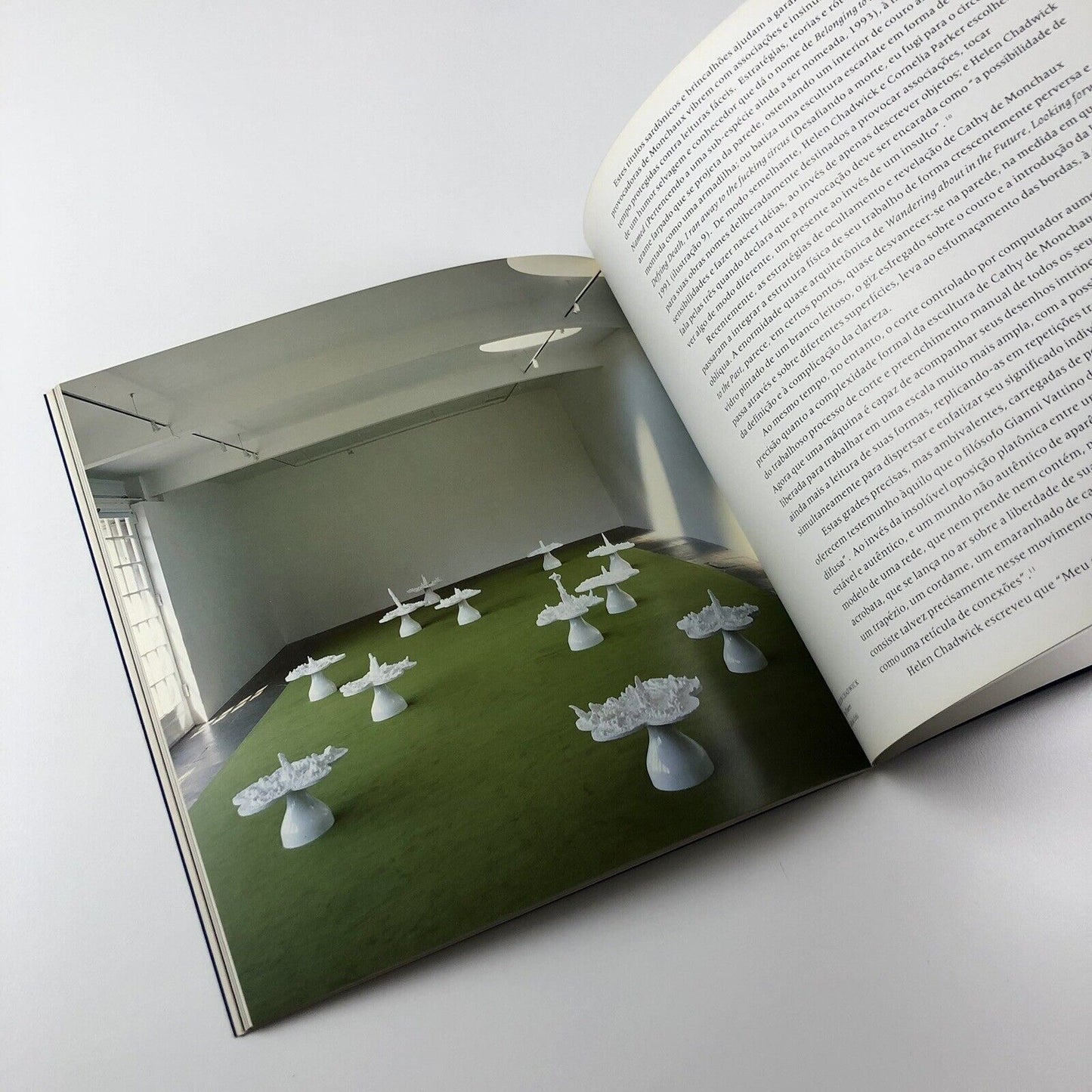 Something the Matter: Helen Chadwick, Cathy De Monchaux, Cornelia Parker | British Council 22nd International Biennal of São Paulo, 1994