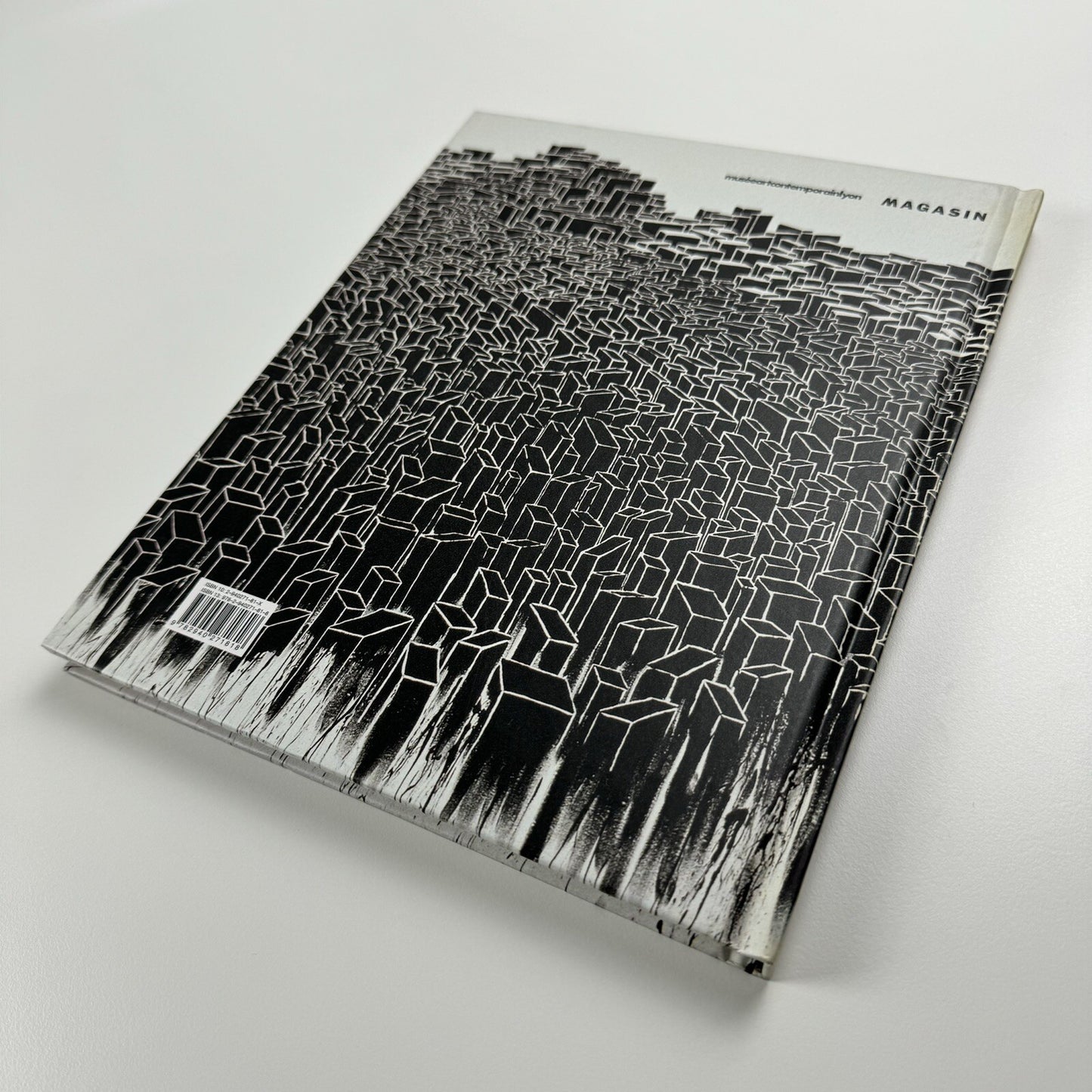 Kader Attia | Musée Art Contemporain, Lyon 2006 catalogue