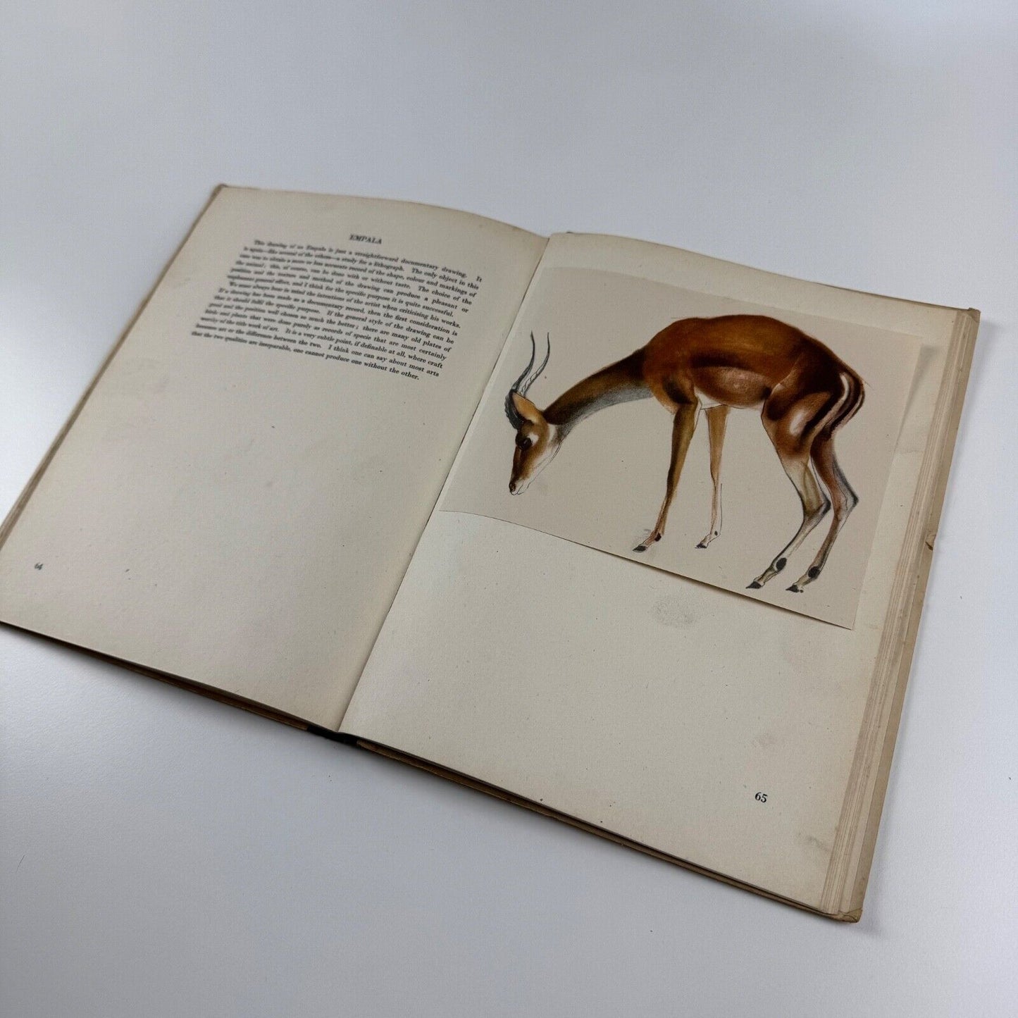 Animal Drawing by John Skeaping. No. 10 The Studio How to do it series 1944 reprinted edition