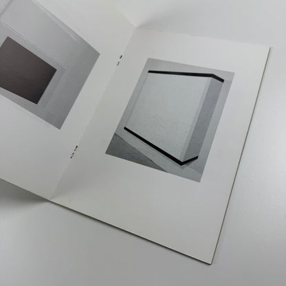 Perry Roberts | Laure Genillard Gallery, London | 1989