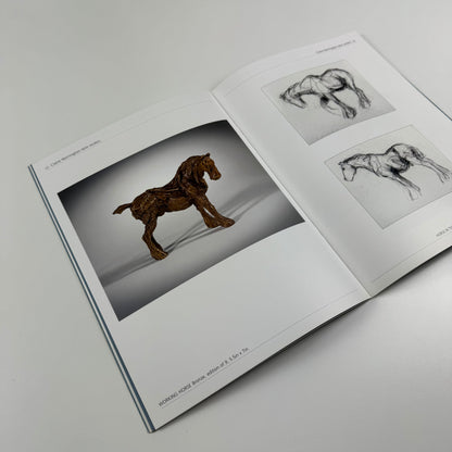 Claire Norrington. New Works | Courcoux and Courcoux, 2008?