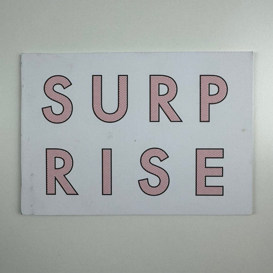 Surprise, Surprise |  Institute of Contemporary Arts (ICA), 2006