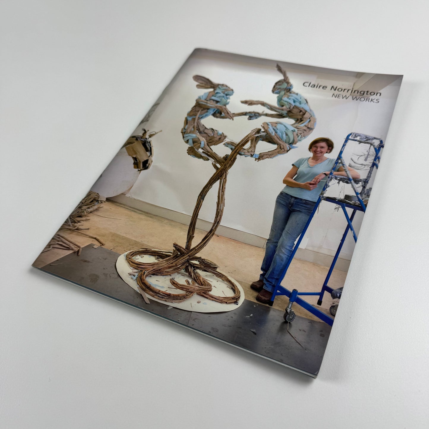 Claire Norrington. New Works | Courcoux and Courcoux, 2008?