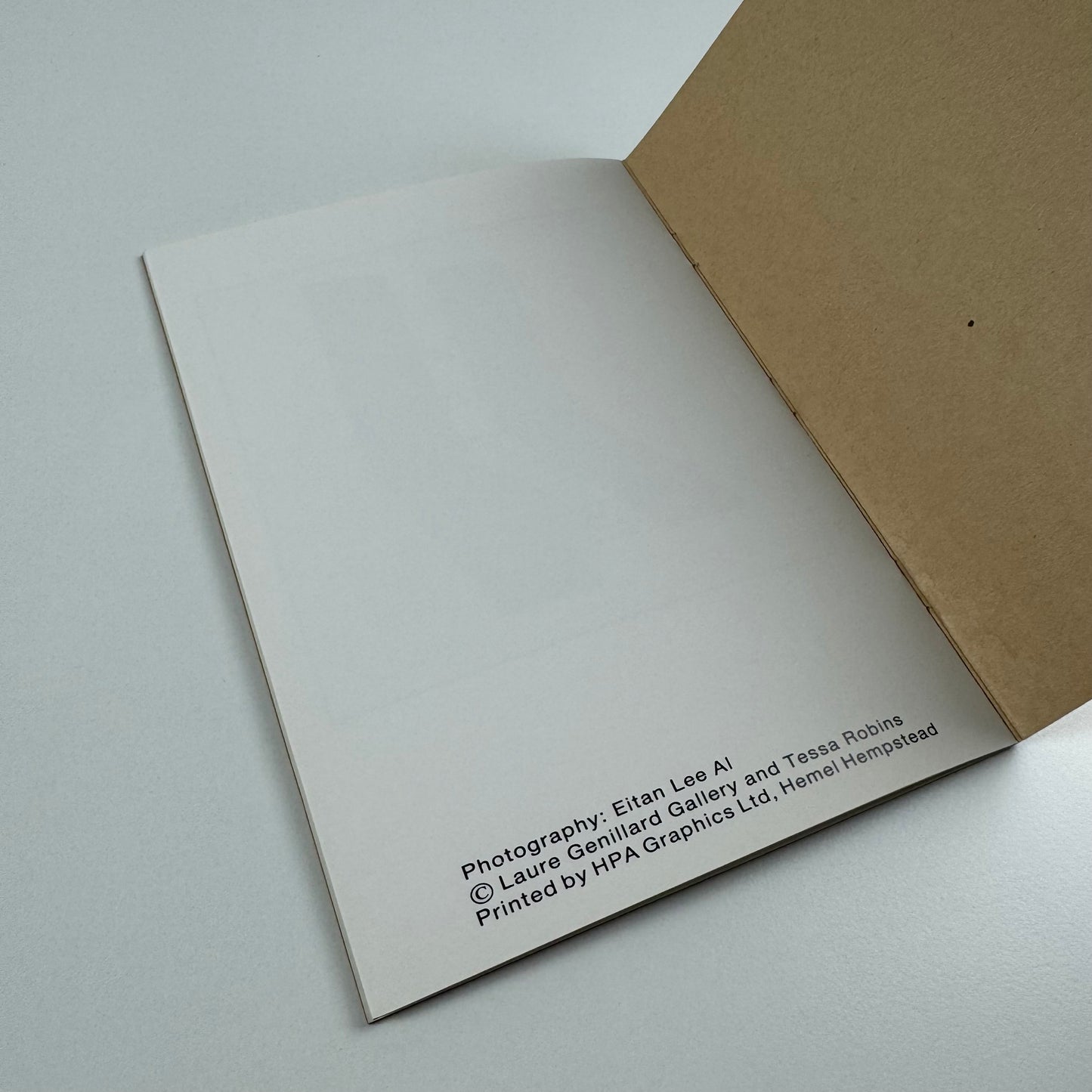 Tessa Robins | Laure Genillard Gallery, London, 1989