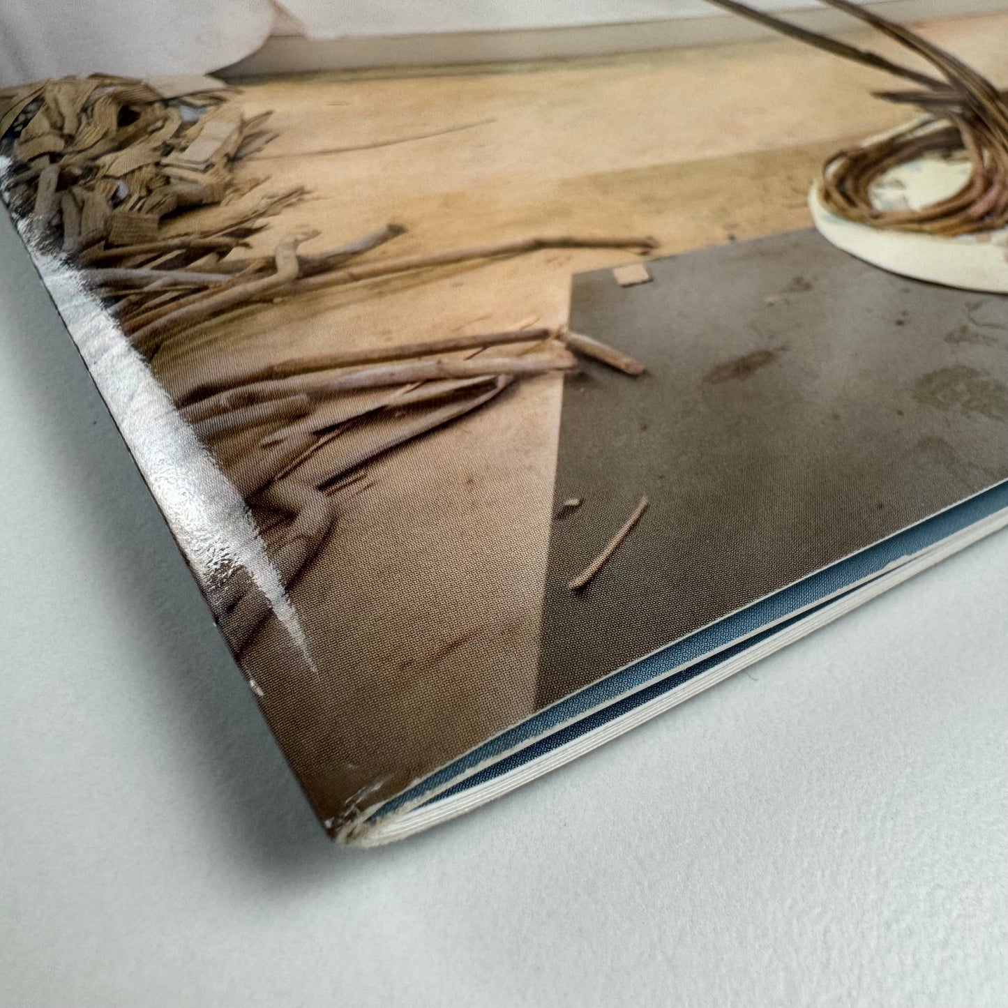 Claire Norrington. New Works | Courcoux and Courcoux, 2008?