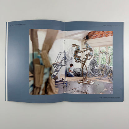 Claire Norrington. New Works | Courcoux and Courcoux, 2008?