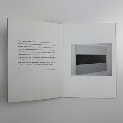 Perry Roberts | Laure Genillard Gallery, London | 1989