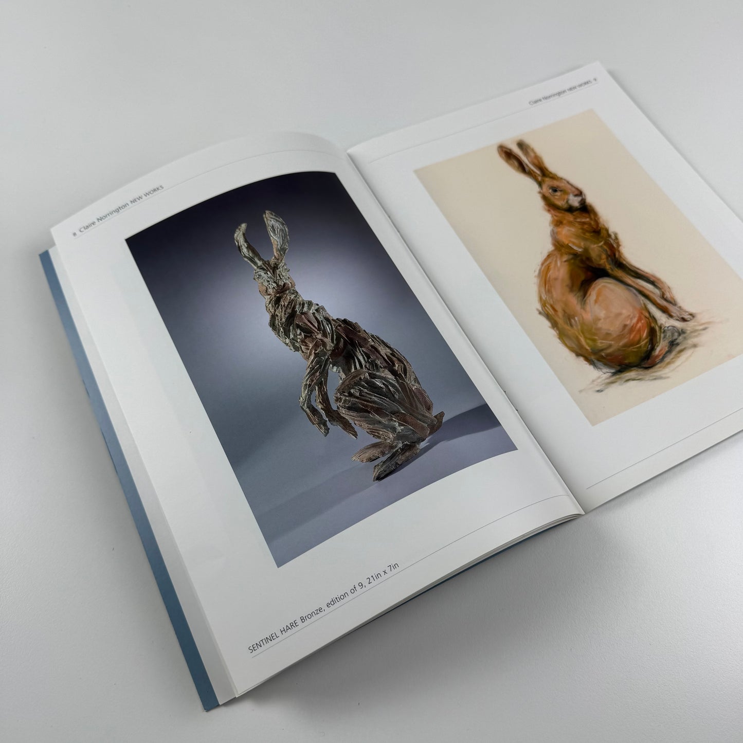 Claire Norrington. New Works | Courcoux and Courcoux, 2008?