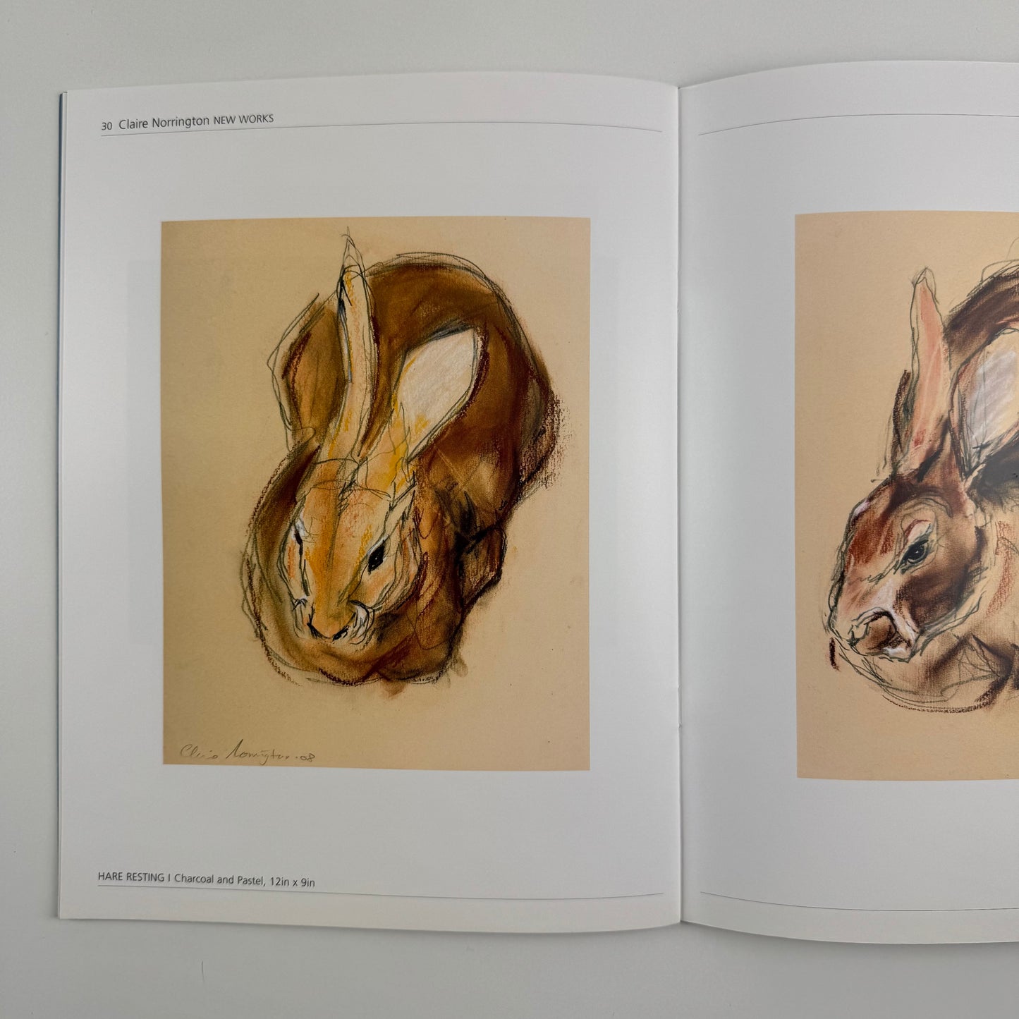 Claire Norrington. New Works | Courcoux and Courcoux, 2008?