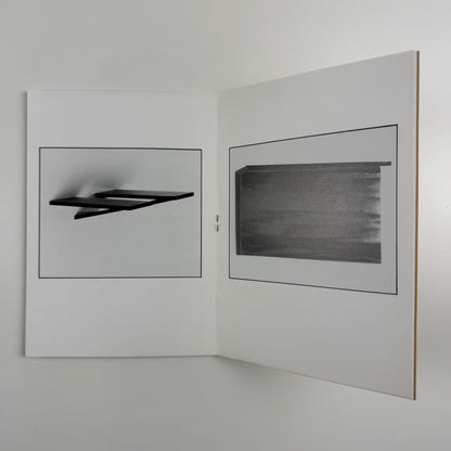 Tessa Robins | Laure Genillard Gallery, London, 1989