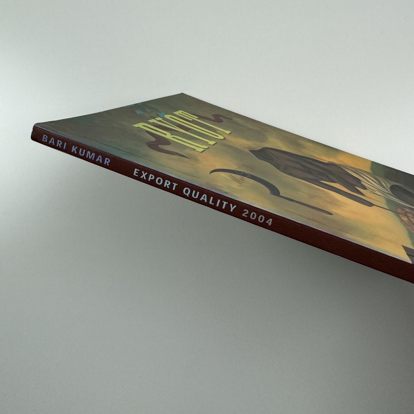 Export Quality 2004. Paintings by Bari Kumar | Bose Pacia Gallery, New York 2004 catalogue