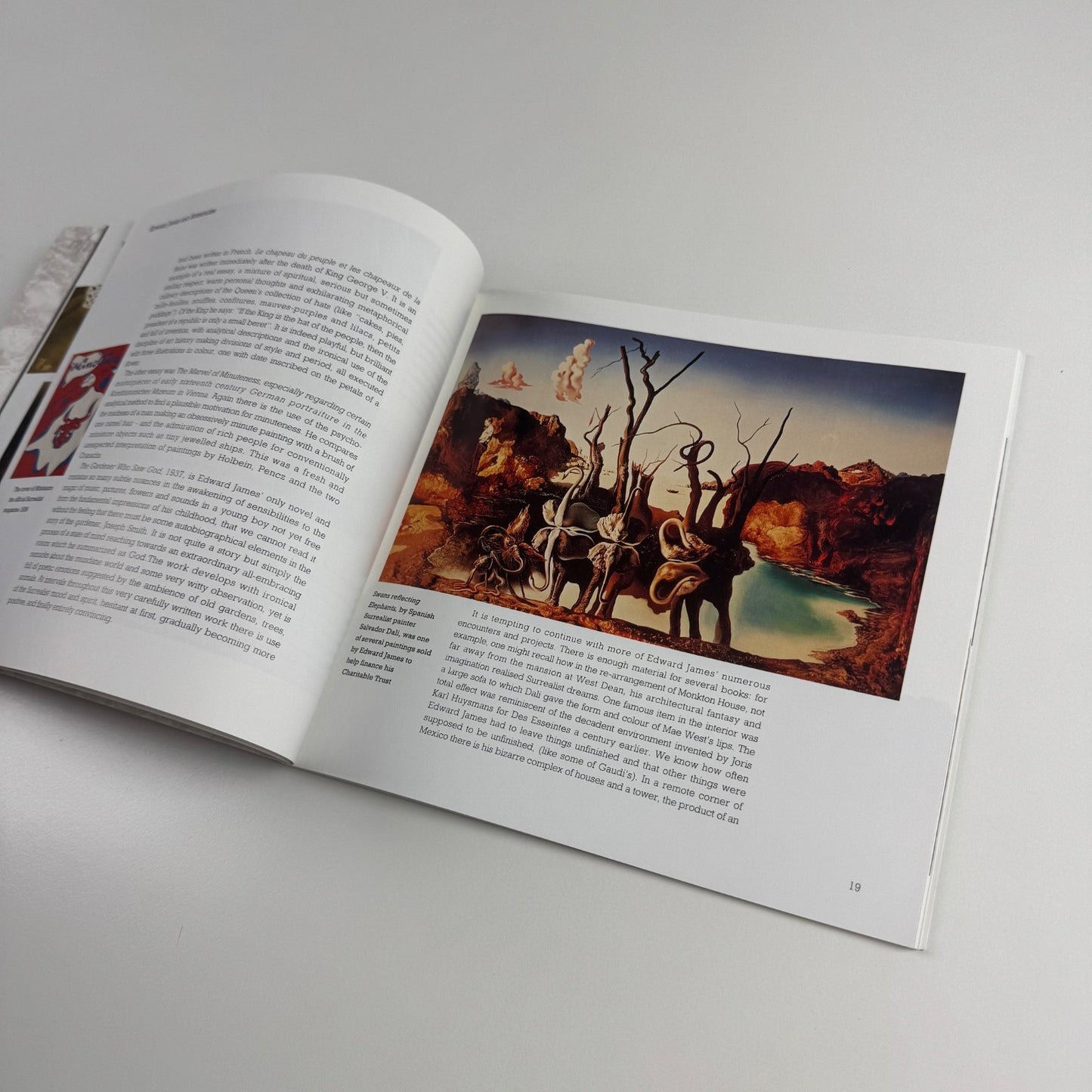 The Edward James Foundation edited by Peter Sarginson, 1992