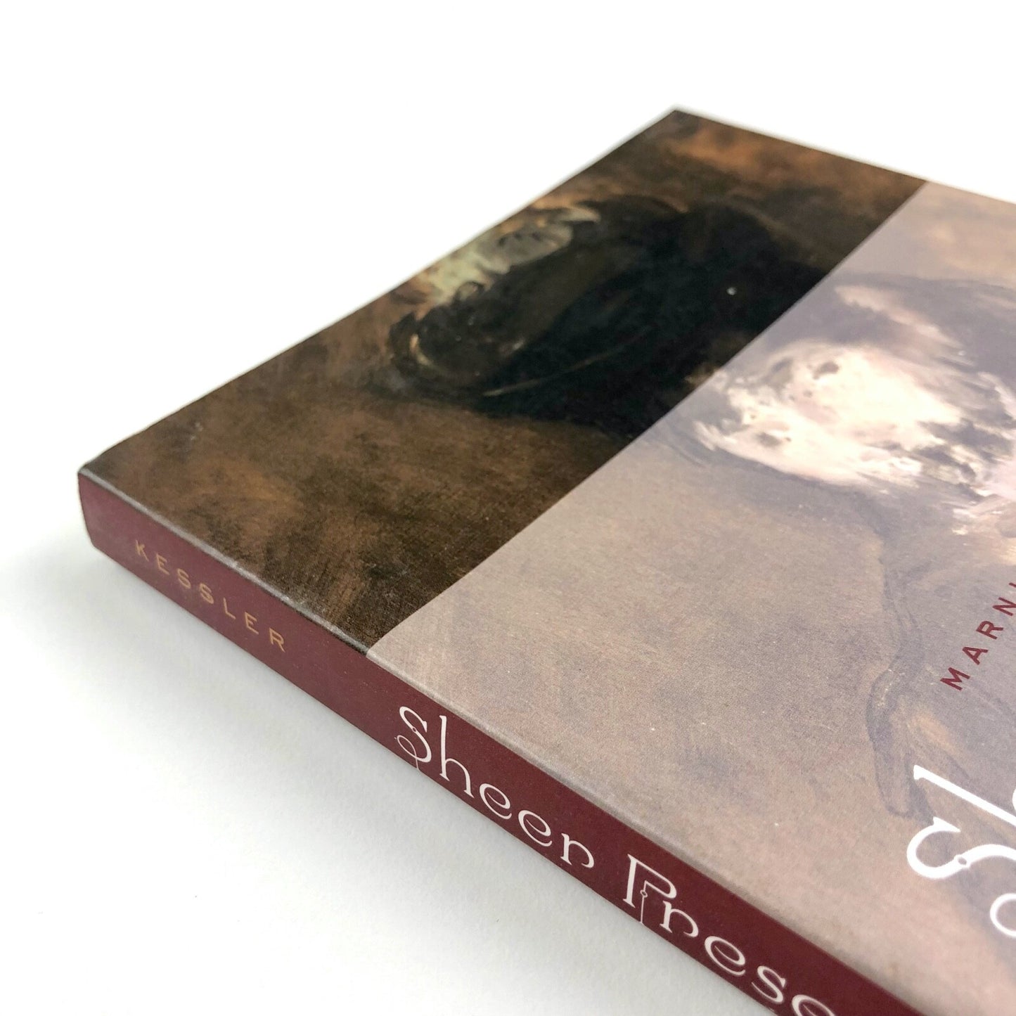 Sheer Presence: The Veil in Manet's Paris by Marni Reva Kessler, 2006