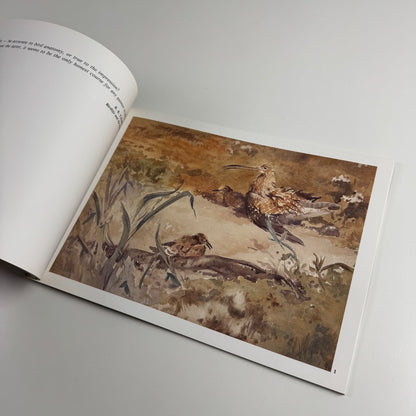 R.B. Talbot Kelly 1896-1971 | The Wildlife Art Gallery, 1992