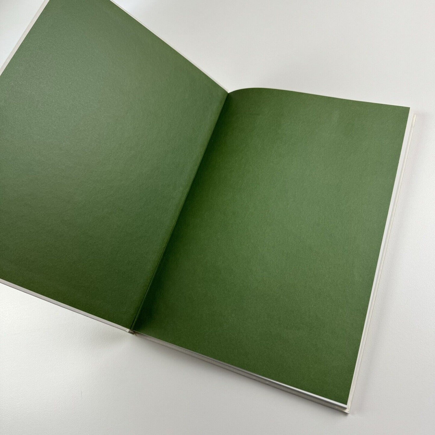 Adel Abdessemed Silent Warriors | Parasol unit and Koenig Books, 2010 | edited by Ziba Ardalan