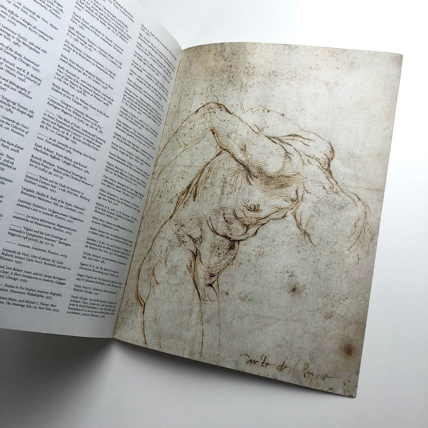 Art and Anatomy in Renaissance Italy by Domenico Laurenza | The Met, 2012