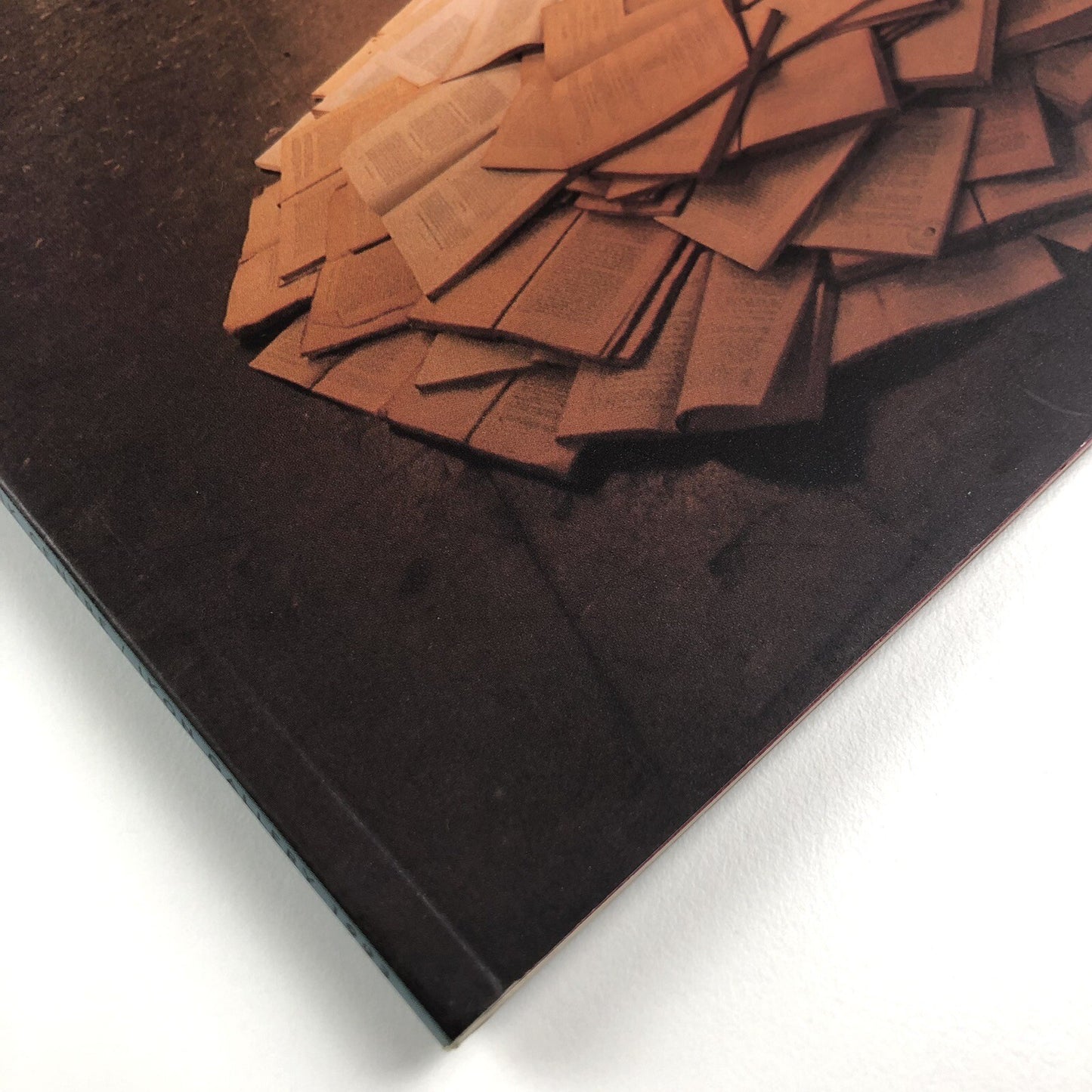 In Fusion: New European Art | Touring exhibition catalogue, 1993 | South Bank/Ikon Gallery