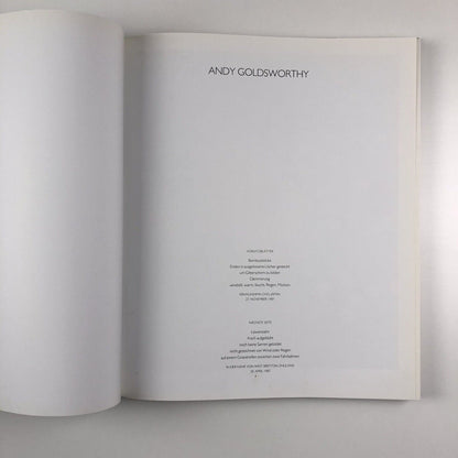 Andy Goldsworthy | Zweitausendeins, 2000