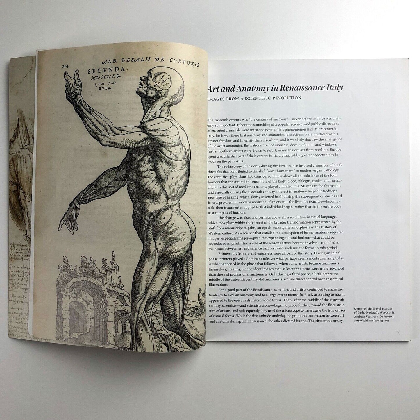Art and Anatomy in Renaissance Italy by Domenico Laurenza | The Met, 2012
