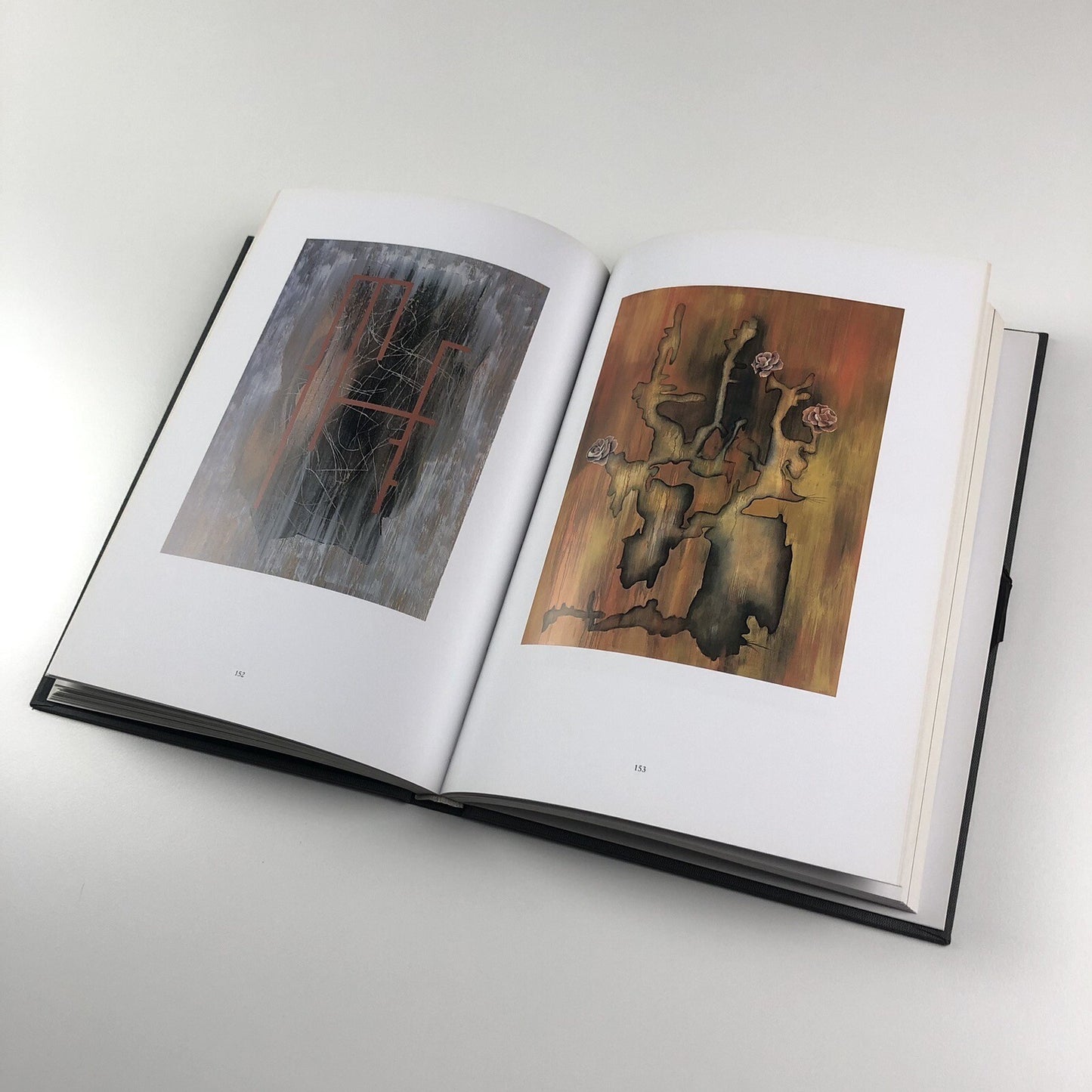 Urs Lüthi | Bonner Kunstverein | Ritter Klagenfurt exhibition catalogue, 1993