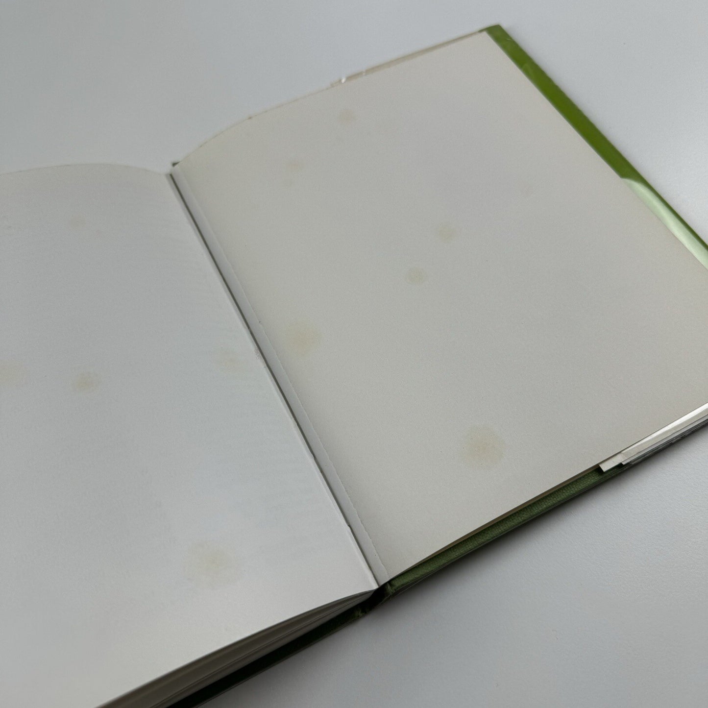 Graphic Reproduction by R.V. Cannon & F.G. Wallis | Ed James Moran | Vista 1963