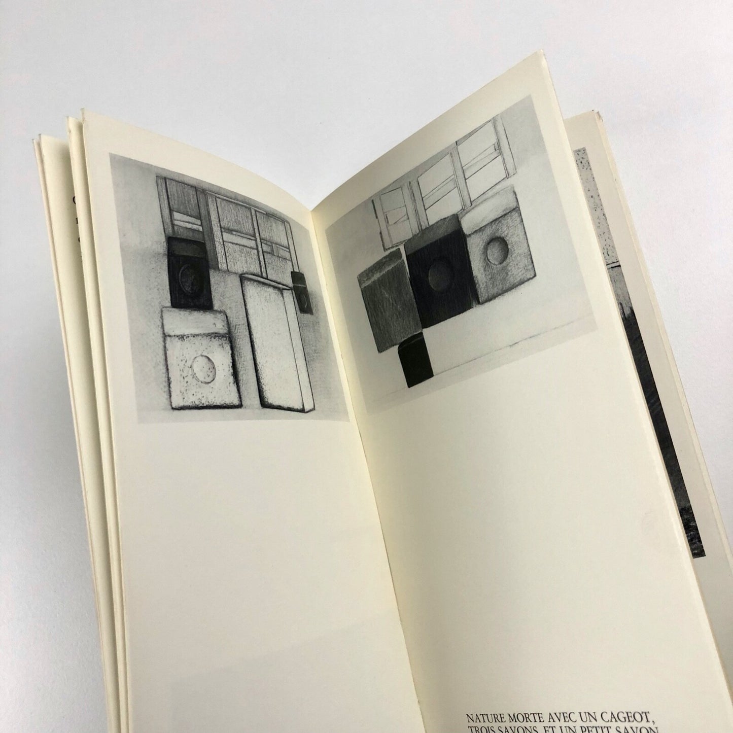 Barbatre. Pastels et Dessins | Berggruen Paris exhibition catalogue, 1984