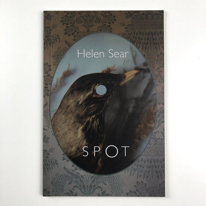 Helen Sear – Spot | Nottingham City Museums and Galleries, 2003