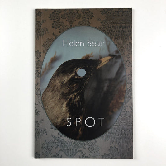 Helen Sear – Spot | Nottingham City Museums and Galleries, 2003