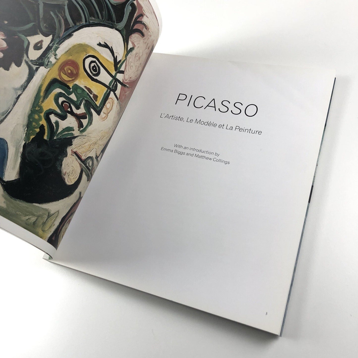 Picasso. L’Artiste, Le Modèle et La Peinture | Helly Nahmad 2007 | Emma Biggs and Matthew Collings.