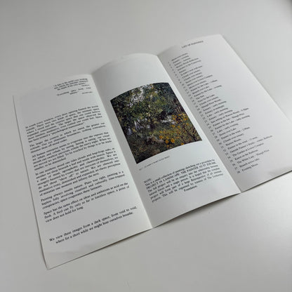 Leaflet R.O. Lenkiewicz. Landscape | Barbican Museum & Library Plymouth 1995