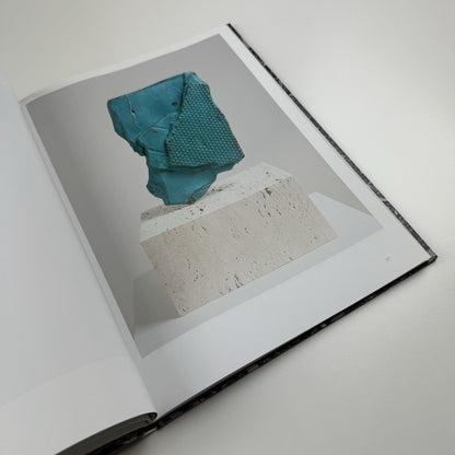 Michael Staniak. IMG | Contemporary Art Museum St Louis | 2015 exhibition catalogue