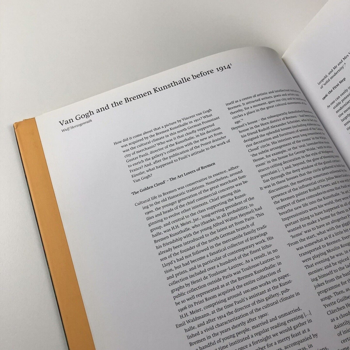 Van Gogh: Fields. The Field with Poppies and the Artists’ Dispute | Edited by Wulf Herzogenrath and Dorothee Hansen | Hatje Cantz, 2002