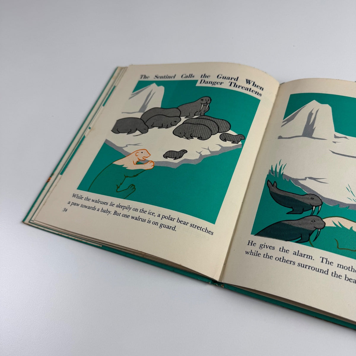 The Wonder World of the Deep Sea by Marie Neurath | Max Parrish, 1955 Isotype Institute