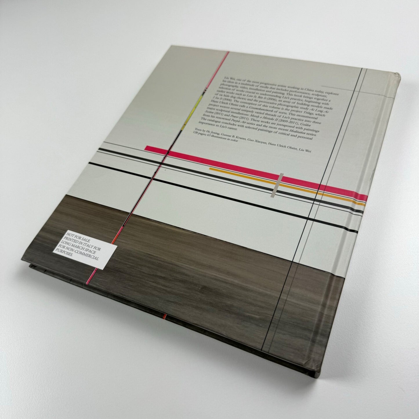 Liu Wei. Trilogy | Minsheng Art Museum/Charta | Long March Space 2011