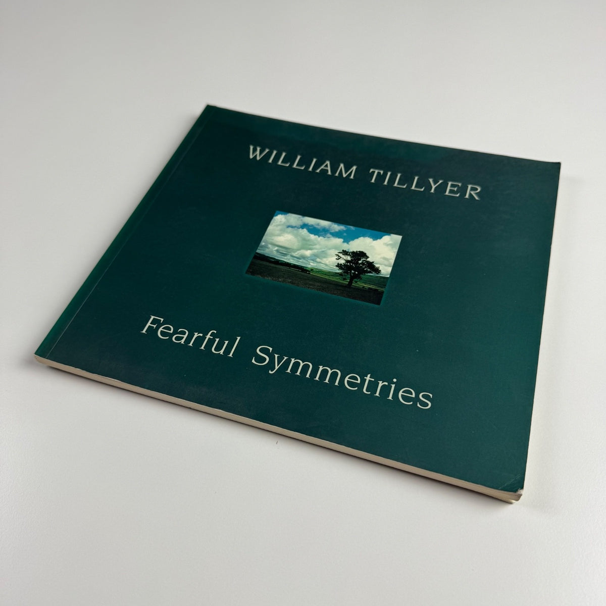 William Tillyer. Fearful Symmetries | Bernard Jacobson Gallery 1993