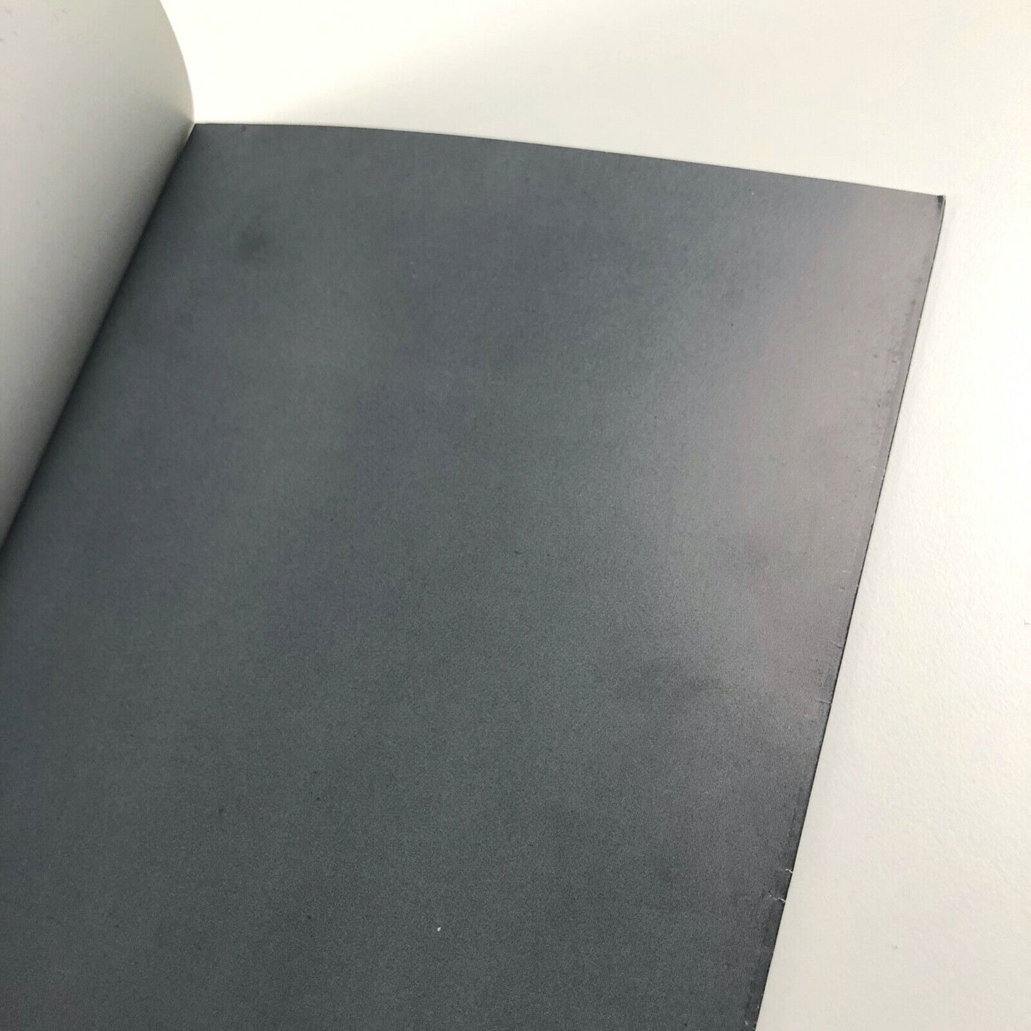 Roberto Caracciolo | Galerie Blancpain Stepczynski Geneva 2004 catalogue